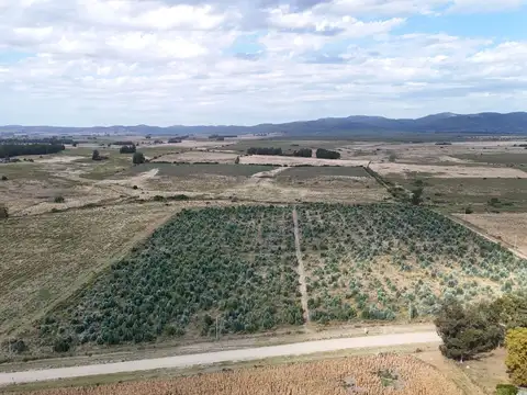 Campo en venta de 30 ha en Solís Grande, Maldonado Uruguay