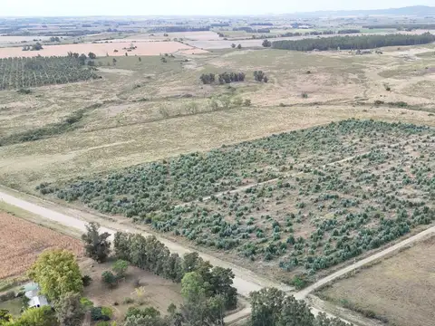 Campo en venta de 30 ha en Solís Grande, Maldonado Uruguay