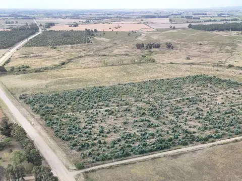 Campo en venta de 30 ha en Solís Grande, Maldonado Uruguay