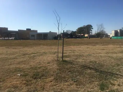 Terreno en Venta de 482,0 m2