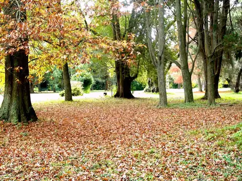 Terreno en Venta de 1501,0 m2