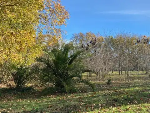 Terreno en Venta en San Miguel del Monte, USD 24.000