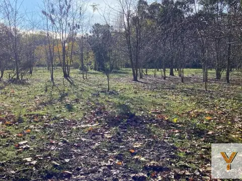 Terreno en venta - 6.795mts2 - San Miguel del Monte