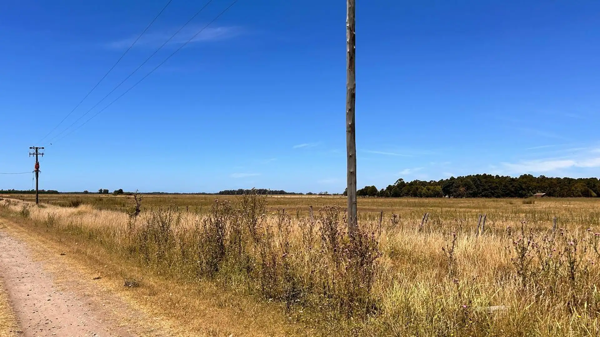 Venta lote en Estación Camet de 3606m²