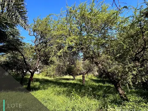 Terreno en Venta en Villa Allende Golf, Villa Allende