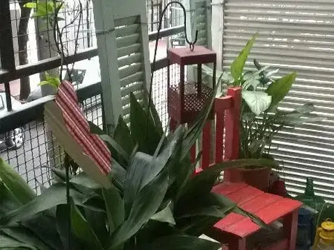 Muy lindo monoambiente en Acassuso