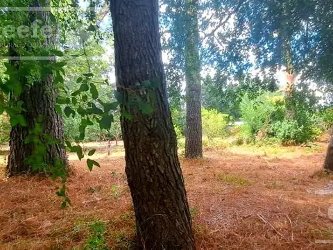 Terreno  en el Pato