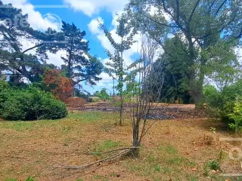 Lotes en Venta El Pato Berazategui