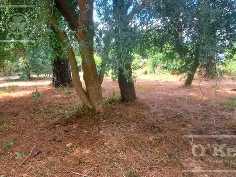 Lotes en Venta El Pato Berazategui