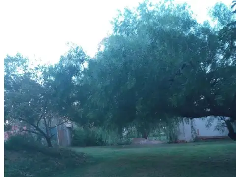 TERRENO EN VENTA EN GRAL RODRIGUEZ