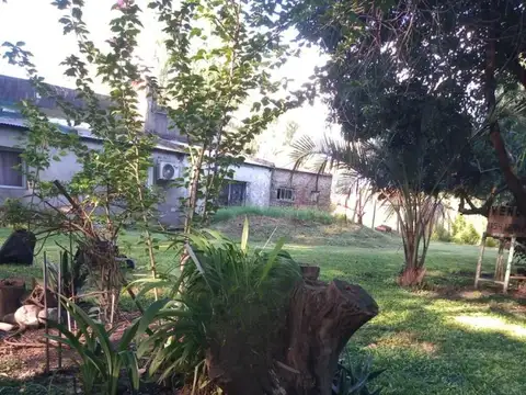 Los Abetos 1100