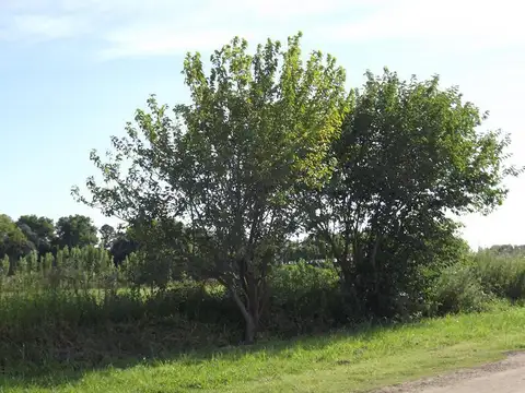 Terreno en Venta de 304,0 m2