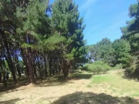 Terrenos en venta conjunta - 750Mts2 - Chapadmalal  