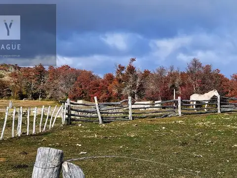Campo en Rio Pico