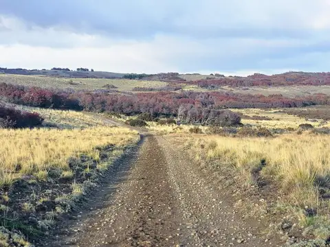 Rio Pico