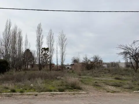 Terreno en Venta en Plottier, Confluencia