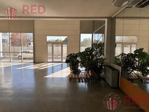 Local en Alquiler en Neuquen, $ 10.000.000