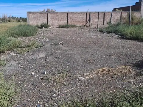 R. Soto Carrasco 1101