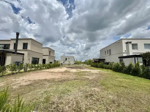 Carpinchos - Nordelta - .