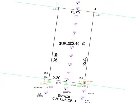 Carpinchos - Nordelta - .