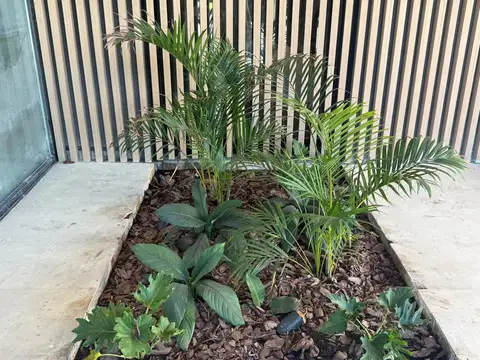 Casa en Alquiler de 5 dormitorios