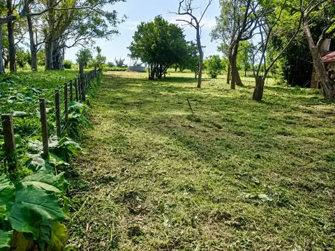 35 Has Agrícolas – Ganaderas en Magdalena