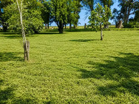 35 Has Agrícolas – Ganaderas en Magdalena