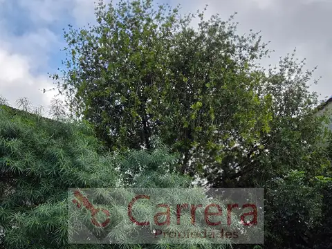 Casa en Alquiler con 2 cocheras