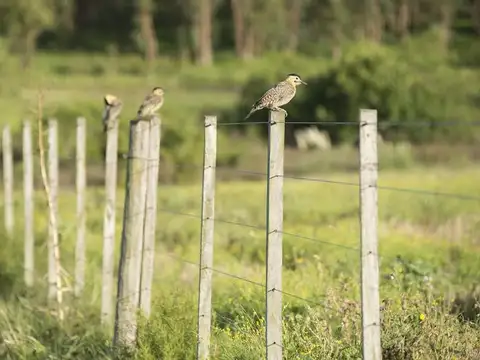 Terreno en Venta en Montevideo, USD 310.000