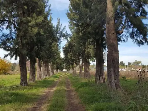 Terreno en Venta en Longchamps, USD 31.000