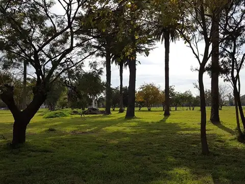 General Alvear 900