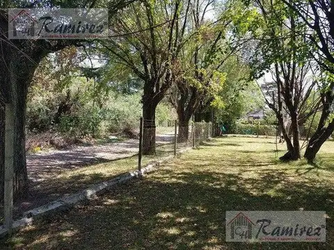 Leonardo Da Vinci al 2500