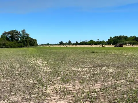 Campo en Pueblo Candioti