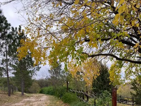 Terreno en Venta en Ascochinga, USD 45.000