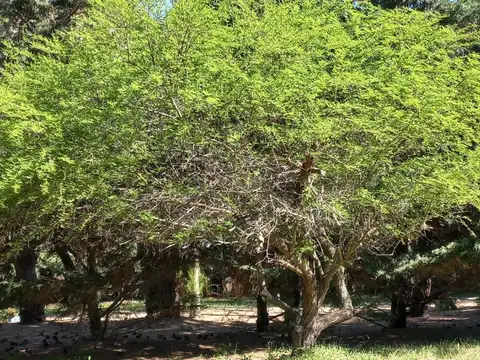 VENTA DE LOTES EN CONDOMINIO RESIDENCIAL