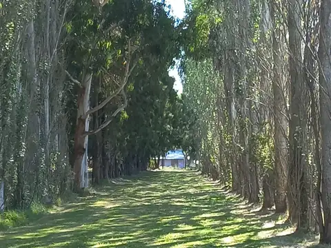 Terreno en Venta de 800,0 m2