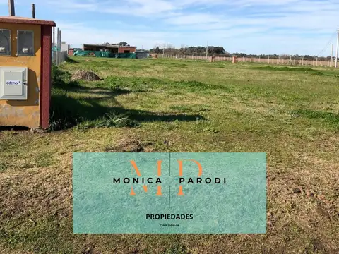 Terreno en Venta 40  mts Fondo