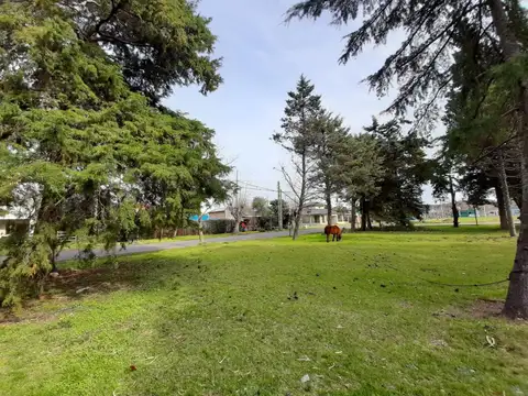 Terreno en Venta 26  mts Fondo