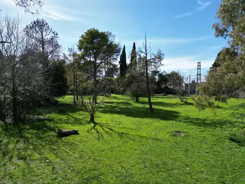 Terreno en Venta 12  mts Frente