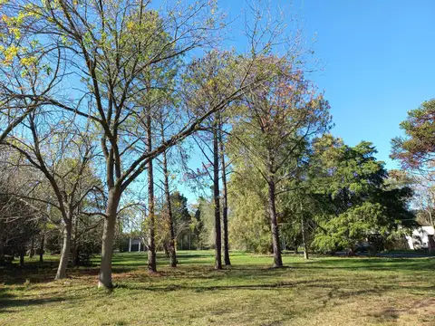 LOTE EN VENTA - 487 Y 137 - 329M2 - QUINTAS DE MÁRQUEZ - ESCRITURA INMEDIATA