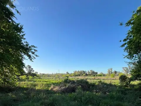 Terreno en Venta 50  mts Frente