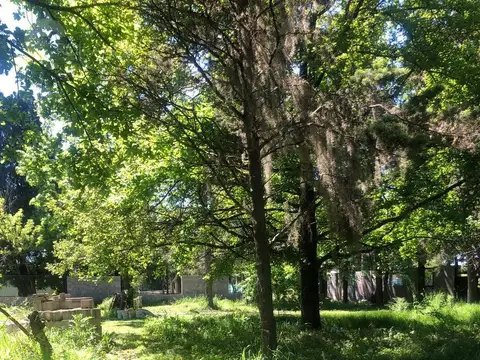 Terreno en Venta 320  mts Fondo