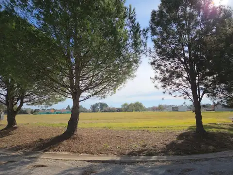 Terreno en Venta 60  mts Fondo