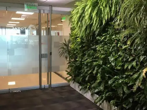 Oficina en Alquiler 6 años
