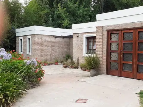 Albert Schweitzer 500