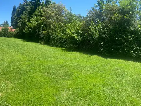 Terreno en Venta de 730,0 m2