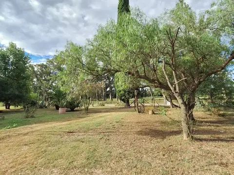 Carrasco