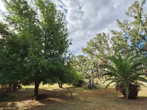 VENTA CAMPO COCHACRA EN COLONIA SUIZA – BARADERO