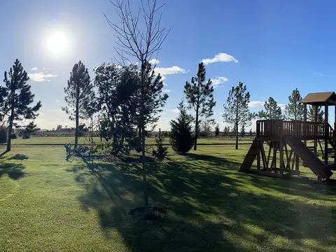 Terreno en Venta 20  mts Frente