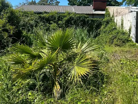 Terreno en Alquiler, FOT 1